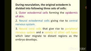 Neurulation in frog [upl. by Astor]