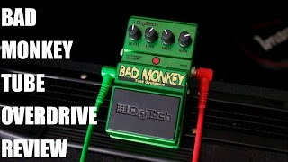 BAD MONKEY TUBE OVERDRIVE PEDAL REVIEW [upl. by Aitram]