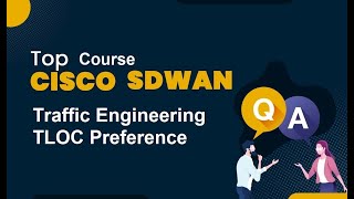 Cisco SDWAN Traffic Engeering and TLOC Preference [upl. by Rebah493]