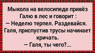 Как Мыкола в Лес Галю Возил Сборник Свежих Анекдотов Юмор [upl. by Jaala]