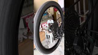 MAVIC Crossmax SL S 29 Upgrade with CEMA ceramic hub bearings [upl. by Eseerahs48]