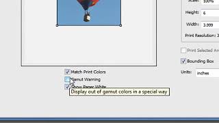 Canon  PC  CS3 CS4  How to use printer color ICC profile with Photoshop and Canon printers [upl. by Otha]