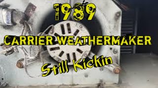 1989 carrier weathermaker leaking water hvac hvacservice hvaclife carrier [upl. by Acinehs]