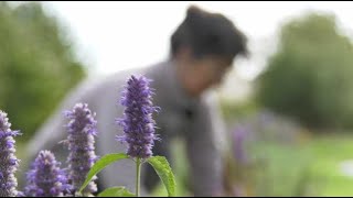 Marché fermier de lOise  le jardin aromatique de Valérie [upl. by Mohorva]