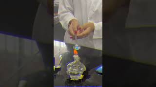 Experimentando con elementos orgánicos e inorgánicos en una clase de Química 🧪🥼química experimento [upl. by Hailahk]