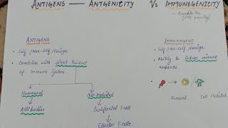 Microbiology Antigen Characteristics and types of Antigen by Dheerendra Kumar [upl. by Litton]