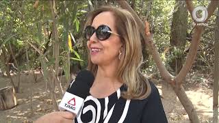 📺 JJ – TJMG lança o projeto “Jovens florestas – Plantando o cuidado” [upl. by Mccutcheon]