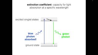 Fluorophore Brightness [upl. by Cnut528]