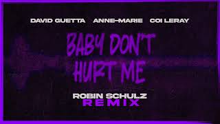 David Guetta AnneMarie Coi Leray  Baby Dont Hurt Me Robin Schulz remix VISUALIZER [upl. by Chuipek]