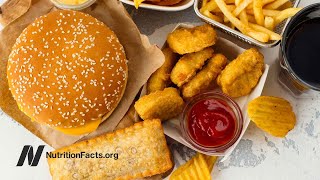 UltraProcessed Junk Food Put to the Test [upl. by Othe]