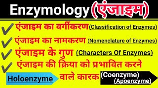 एंजाइमEnzymology एंजाइम के गुण नामकरण वर्गीकरण खोज कारकHoloenzyme Apoenzyme Coenzyme And Cofactor [upl. by Simson]