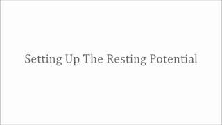 Resting Potential [upl. by True]