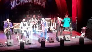 Showaddywaddy  The Party  Live in Glasgow 29062024 [upl. by Adnoval]