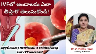 IVFలో అండాలను ఎలా తీస్తారో తెలుసుకోండి  EggOvum Retrieval  Dr P Vishnu Priya [upl. by Nolyaw]