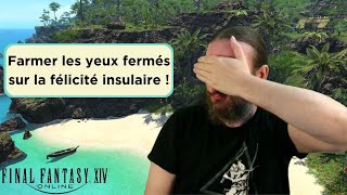 FF14 Guide  Macro de récolte pour la félicité insulaire [upl. by Aerdnat]