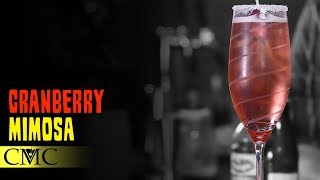 How To Make The Cranberry Mimosa Cocktail [upl. by Ailedo]