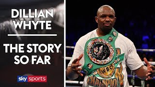 Dillian Whytes THRILLING Story So Far 🥊  Full Documentary [upl. by Nodal]