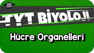 Hücre Organelleri  TYT Biyoloji KAMP2024 [upl. by Asiluy]