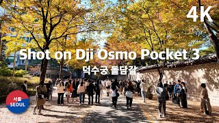 Walking on Deoksugung Stonewall Walkway Seoul Autumn Leaves Spots DJI Osmo Pocket 3 덕수궁 돌담길 서울 단풍 [upl. by Anatolio]