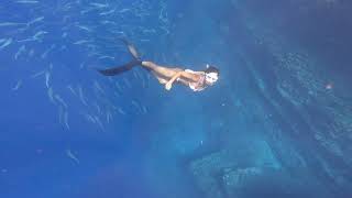 Snorkeling off Niihau at Lehua Crater [upl. by Hildagarde]