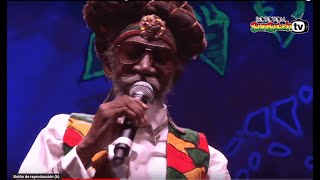 BUNNY WAILER amp The Solomonic Orchestra live  Main Stage 2015 [upl. by Adnirol]