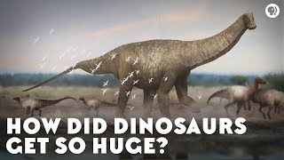 How Did Dinosaurs Get So Huge [upl. by Aned762]