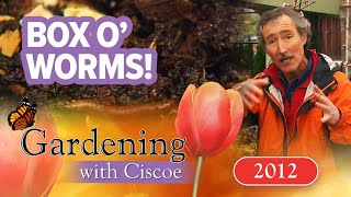 BOX O’ WORMS Tips to Make Your Own Compost  Gardening With Ciscoe  Full Episode [upl. by Hsihsa757]