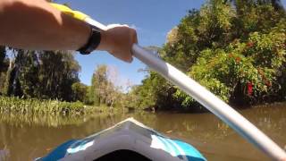 Kayaking Bulimba Creek Brisbane Australia [upl. by Sinclare947]