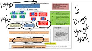 ACCAHA Hypertension GuidelinesAPRN NP Prep [upl. by Aneeh]