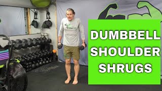 Shoulder Shrugs Exercise Dumbbell  How To Perform [upl. by Wedurn]