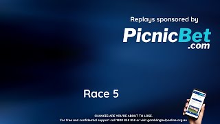 Race 5 Healesville 27th January 2024 [upl. by Francklin]