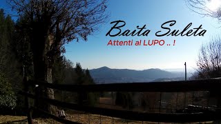 Attenti al LUPO   Realizzazione cordoli con tronchi recuperati nel bosco terrazzamenti [upl. by Irol837]