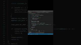 Pentingya Socket Checkjavascript belajarjava python kelascoding [upl. by Ofloda406]