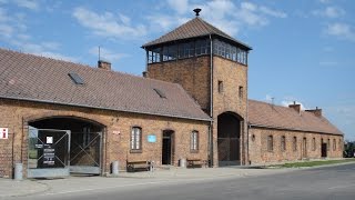 Auschwitz  Episode 2 Birkenau [upl. by Abran]