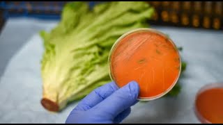 BE AWARE 2 Deaths 23 Hospitalized From Listeria OUTBREAK [upl. by Yeltrab]