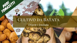 A cultura da Batata  Origem e Fenologia  Olericultura [upl. by Radburn971]