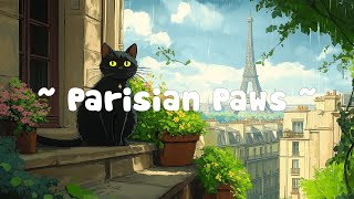 Parisian Paws 🐾 Lofi Beats for Cozy Rainy Days 🌧️ Feline Tranquility [upl. by Evette]