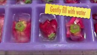 How To Make Fresh Floral Ice Cubes [upl. by Valer]