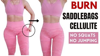 Burn HIP FAT saddlebag amp cellulite NO SQUAT NO JUMPING outer thigh sculpt beginner knee friendly [upl. by Nosnibor749]