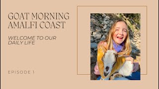 Goat Morning Amalfi Coast Ep1 [upl. by Connelley746]