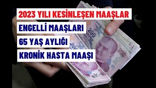 İŞTE KESİNLEŞEN 2023 ENGELLİ MAAŞLARI [upl. by Orabel644]