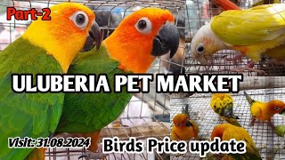 Uluberia Pet Market Present Exotic Birds price update  Part2 pets bird trending [upl. by Oringa599]