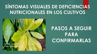 Pasos para confirmar las deficiencias nutricionales en los cultivos [upl. by Leake]