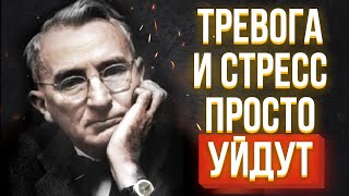 Легкое преодоление ТРЕВОГИ СТРЕССА и СТРАХА за 7 минут  Дейл Карнеги [upl. by Divadnhoj]