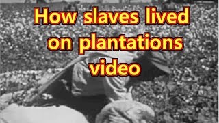 Plantation life for slaves in the South [upl. by Ainsley]