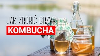 Grzyb kombucha przepis Jak zrobić herbaciany grzyb Czajnikowypl [upl. by Solis]