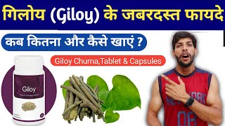 Giloy Ke Fayde  Giloy Benefits in Hindi  गिलोय के गुण एवं फायदे [upl. by Ahsilrae551]