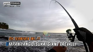 Light Shore Jigging  Akhirnya Setelah Sekian Purnama Bisa Strike lagi ikan GT  Land base fishing [upl. by Noyr353]