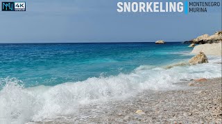 MONTENEGRO 🏝 SNORKELING 🤿 MURINA 🇲🇪 2024 4K📸60 [upl. by Lynsey]