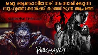 POOCHANDI Movie Explained in Malayalam movieexplanation movie horrorstories [upl. by Ttegdirb]